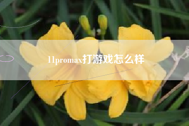 11promax打游戏怎么样