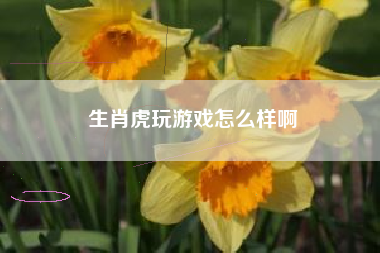 生肖虎玩游戏怎么样啊