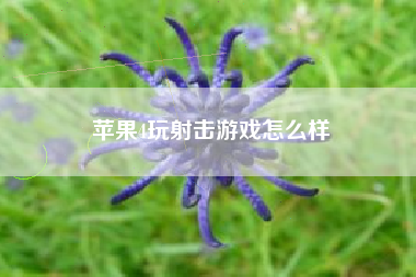 苹果4玩射击游戏怎么样