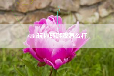 wiiu玩体感游戏怎么样