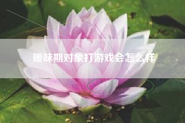 暧昧期对象打游戏会怎么样