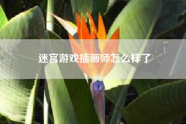 迷宫游戏插画师怎么样了