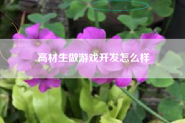 高材生做游戏开发怎么样