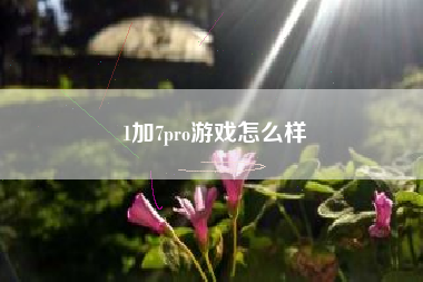 1加7pro游戏怎么样