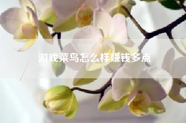 游戏菜鸟怎么样赚钱多点