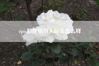 epic游戏给别人玩会怎么样