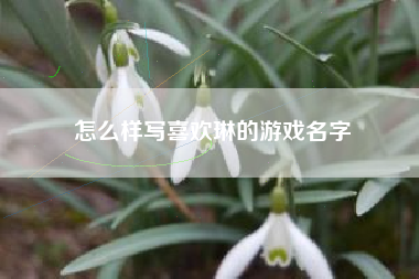 怎么样写喜欢琳的游戏名字