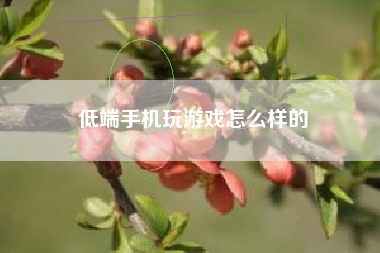 低端手机玩游戏怎么样的