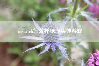 nsswitch怎么样删净实体游戏