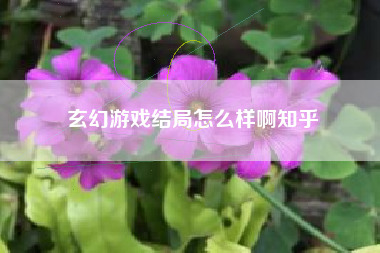 玄幻游戏结局怎么样啊知乎