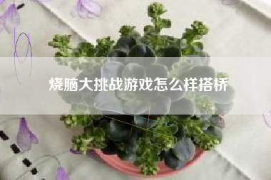 烧脑大挑战游戏怎么样搭桥