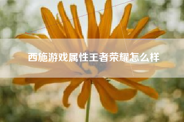 西施游戏属性王者荣耀怎么样