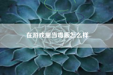 在游戏里当毒贩怎么样