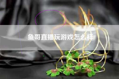 鱼哥直播玩游戏怎么样