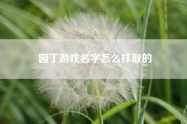 园丁游戏名字怎么样取的