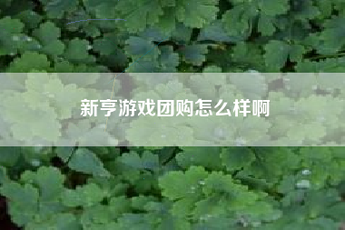 新亨游戏团购怎么样啊