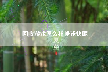 回收游戏怎么样挣钱快呢