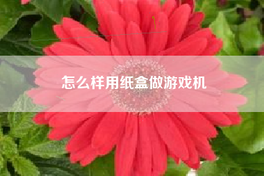 怎么样用纸盒做游戏机