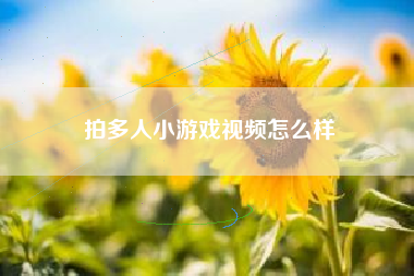 拍多人小游戏视频怎么样