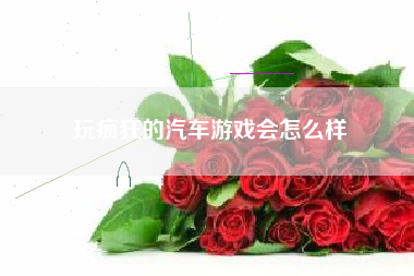 玩疯狂的汽车游戏会怎么样