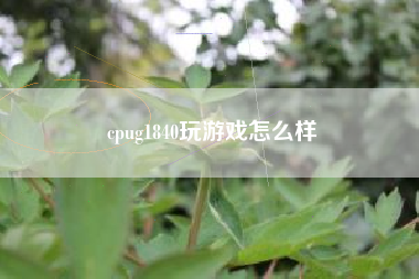 cpug1840玩游戏怎么样