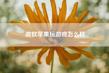 微软苹果玩游戏怎么样