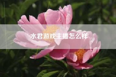 水君游戏主播怎么样