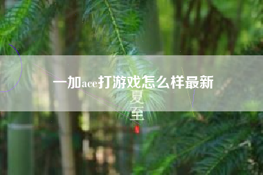 一加ace打游戏怎么样最新