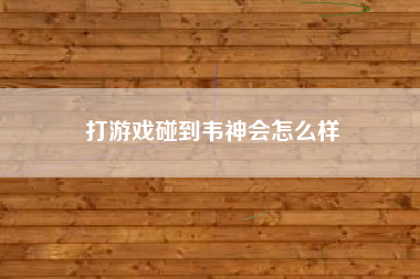 打游戏碰到韦神会怎么样