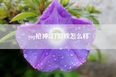 rog枪神3打游戏怎么样