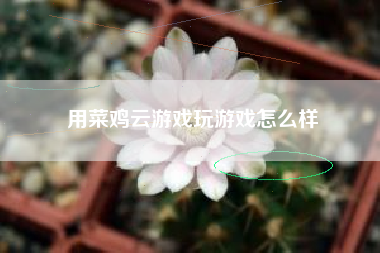 用菜鸡云游戏玩游戏怎么样