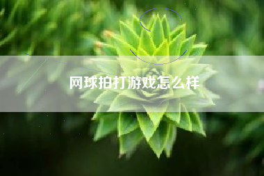 网球拍打游戏怎么样