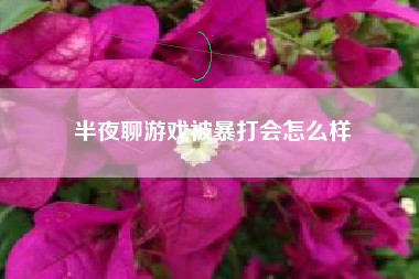 半夜聊游戏被暴打会怎么样