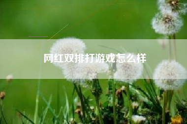 网红双排打游戏怎么样