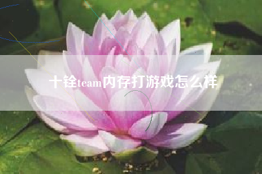 十铨team内存打游戏怎么样