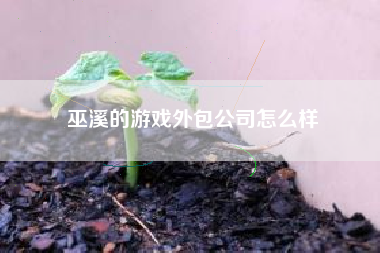 巫溪的游戏外包公司怎么样