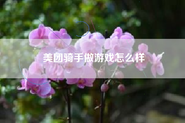 美团骑手做游戏怎么样