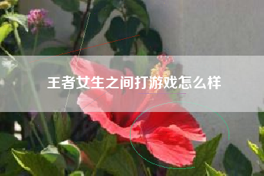 王者女生之间打游戏怎么样