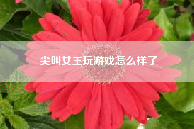尖叫女王玩游戏怎么样了