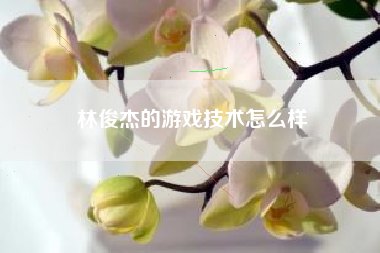 林俊杰的游戏技术怎么样