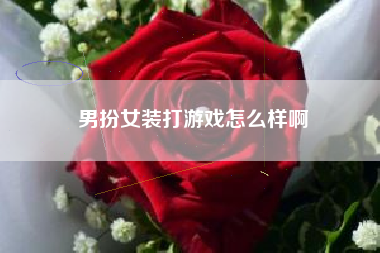 男扮女装打游戏怎么样啊