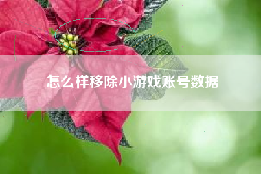 怎么样移除小游戏账号数据