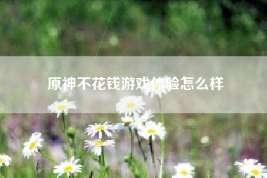 原神不花钱游戏体验怎么样