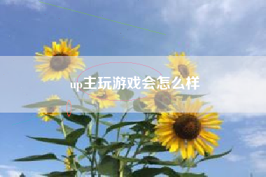 up主玩游戏会怎么样