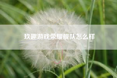 玖趣游戏荣耀舰队怎么样