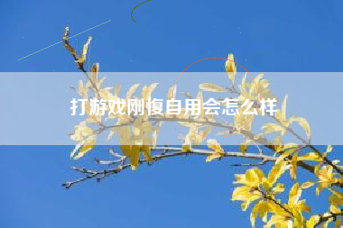 打游戏刚愎自用会怎么样