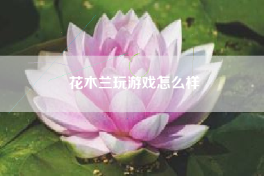 花木兰玩游戏怎么样