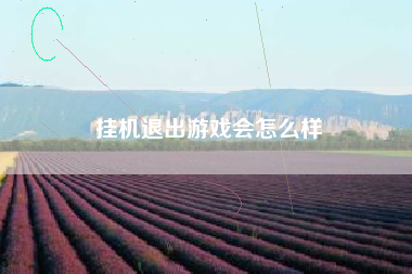 挂机退出游戏会怎么样