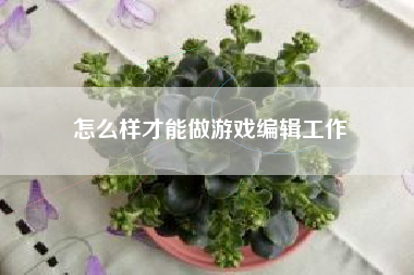 怎么样才能做游戏编辑工作