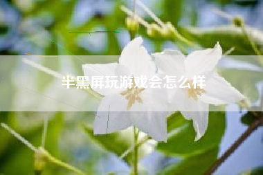 半黑屏玩游戏会怎么样